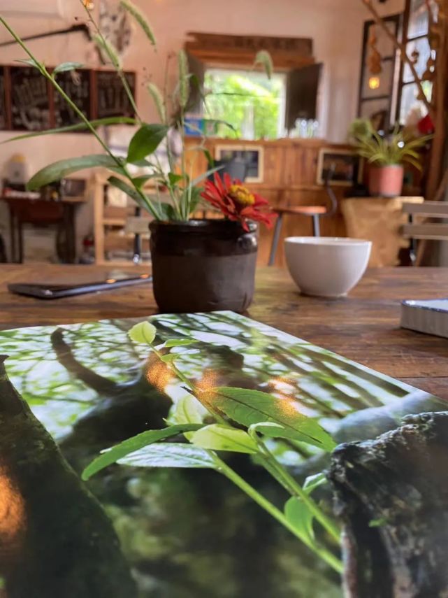 麦哲伦航线·第二站:阳产德味儿民宿合伙人-小丫TUYA