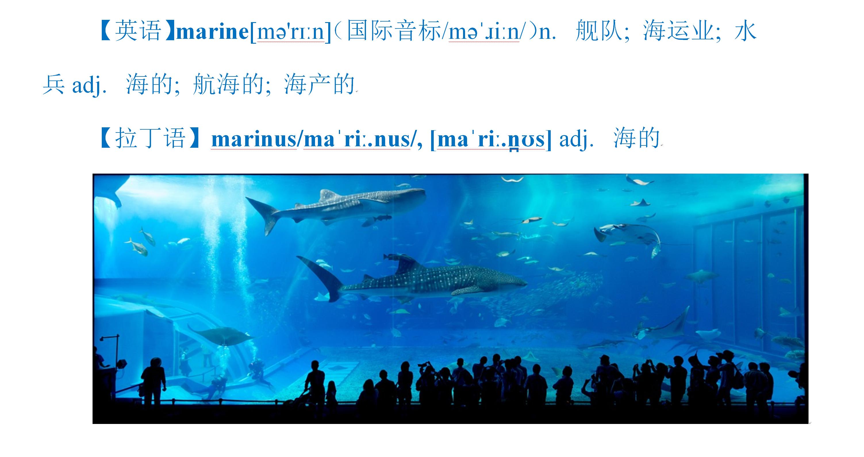 如何快速掌握汉语拼音正词法,汉语拼音快速掌握方法