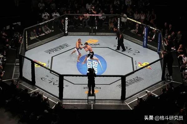 ufc比赛规则和标准,ufc比赛技术分析