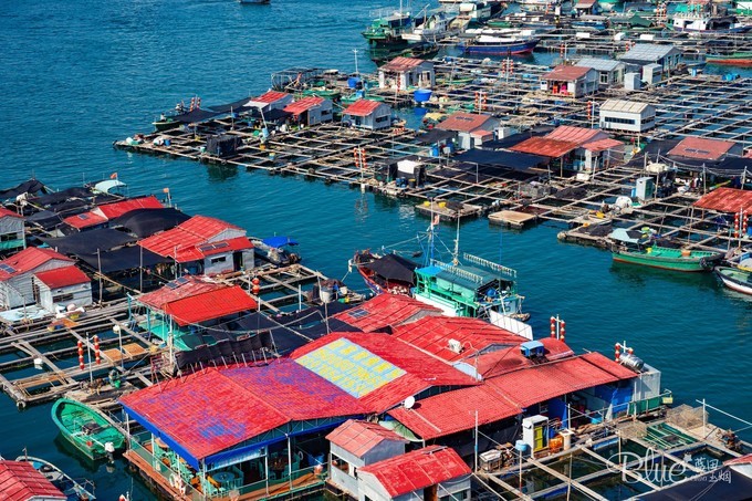 三亚南湾猴山岛,三亚南湾猴岛好玩的地方