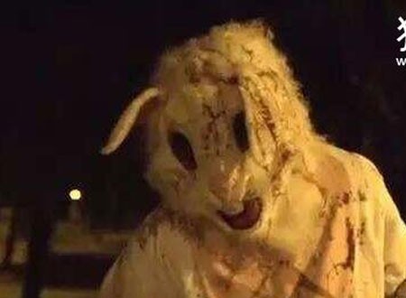 美国杀人兔事件电影,恐怖杀人兔故事