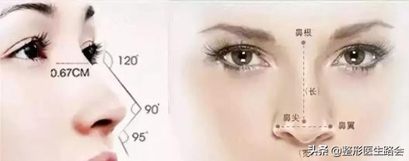 鼻子好不好看关键看哪里,什么样的鼻子不适合整鼻子