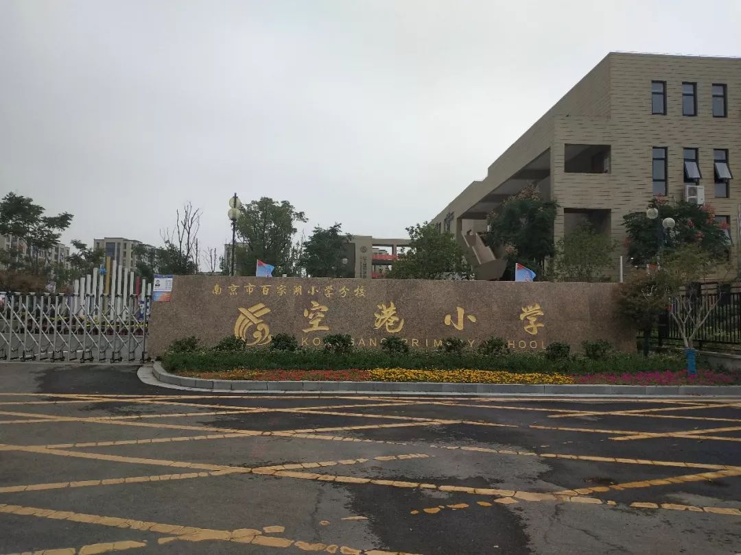 禄口新城新消息,禄口新城最新动态