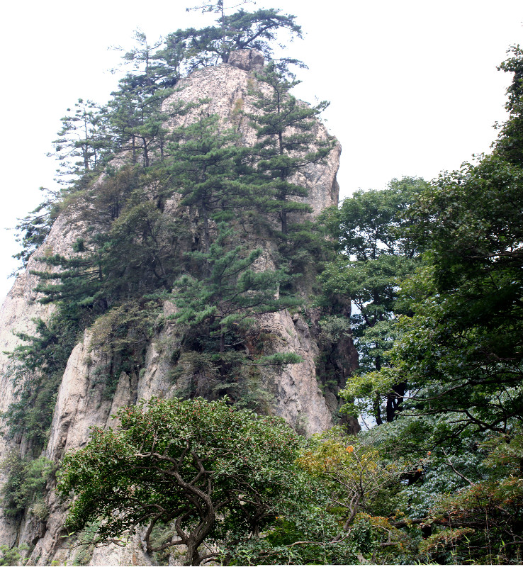天下第一仙山洛阳老君山,天下奇山老君山视频
