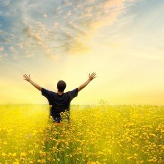 《攀登者》：为什么登山队就是血性勇气，现实更多则是愚蠢蛮干？