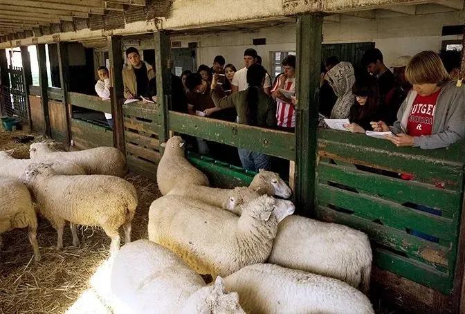 美国罗格斯大学排名,美国罗格斯大学