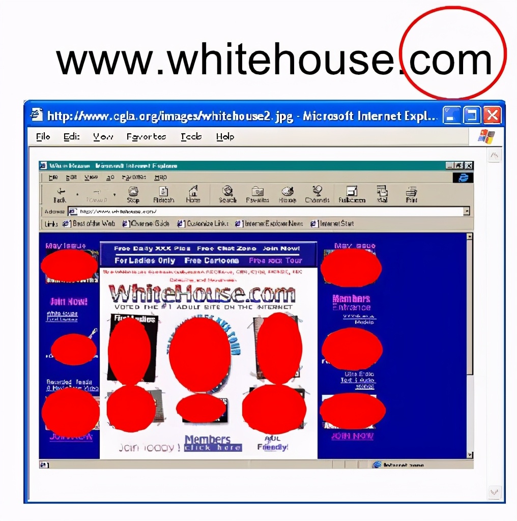 20年前,我是怎么被一家“白宫官网”欺骗的