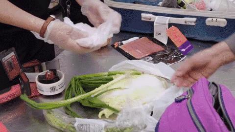 新西兰奥克兰留学行李清单,新西兰留学必带物品清单