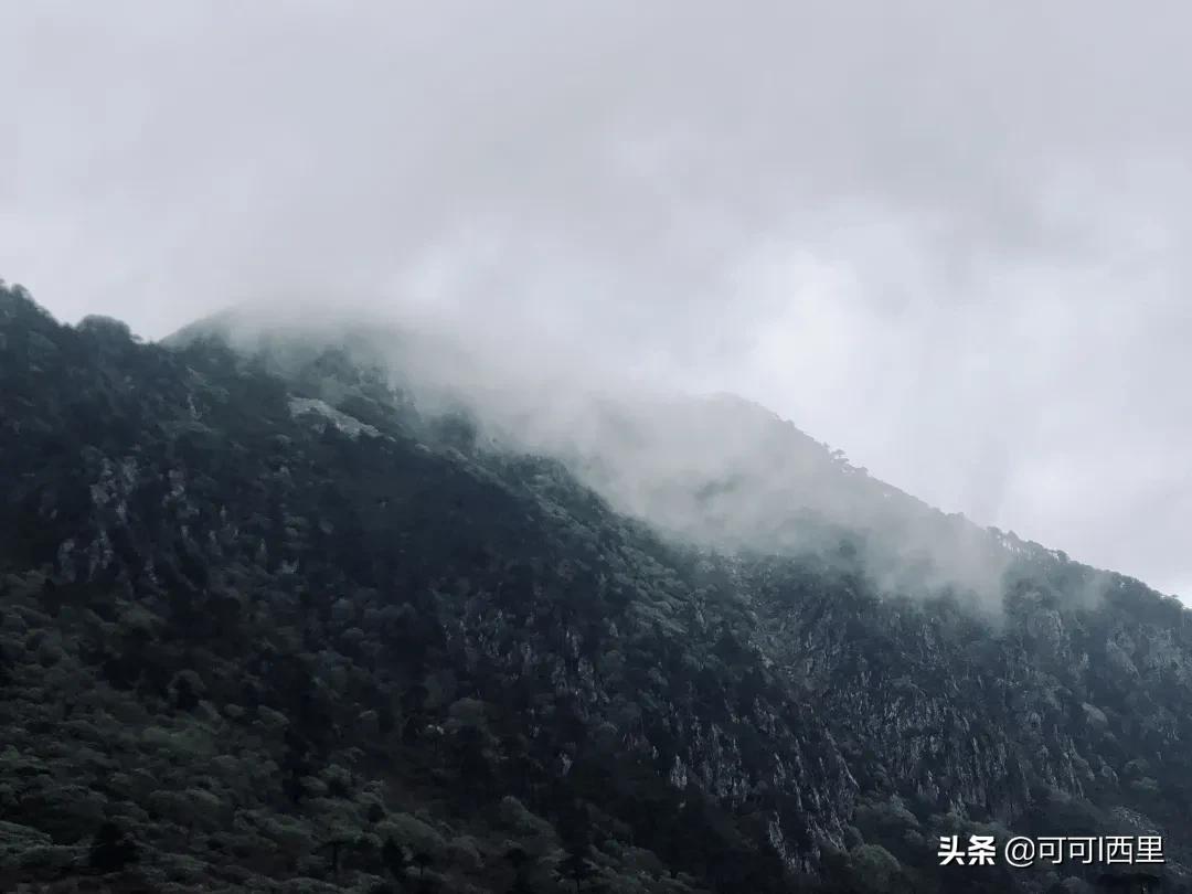 观念与灵魂的感悟,从一件小事到深度思考