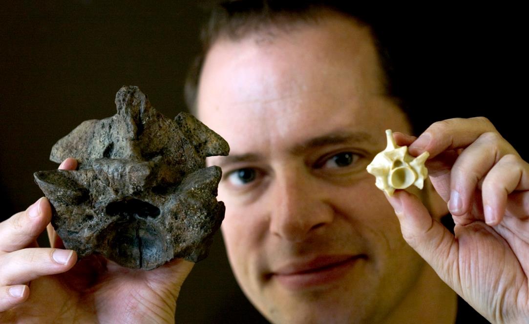 泰坦巨蟒把鳄鱼吞进肚子里,泰坦巨蟒被鳄鱼咬住了身体