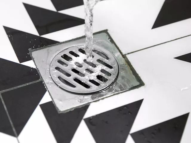 卫生间有虫子怎么除去,卫生间有虫子怎么消灭最快