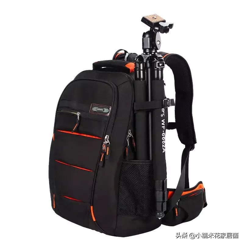 佳能和尼康单反相机锐度设置技巧,佳能和尼康哪个品牌的单反相机好