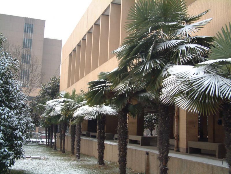 中国矿大当年为啥在徐州,徐州矿大故事