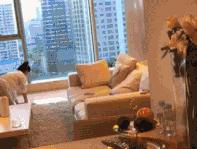 吸尘器拖地无死角,吸尘器清理地面勤快爱干净