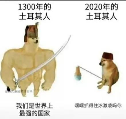 那些丧心（gui）病,chu狂的流行语