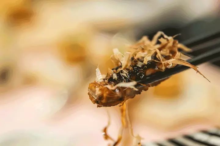 50碗米饭武汉,武汉50碗米饭