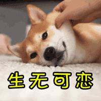 纸质火车票要告别了吗 (纸质火车票的最新政策)