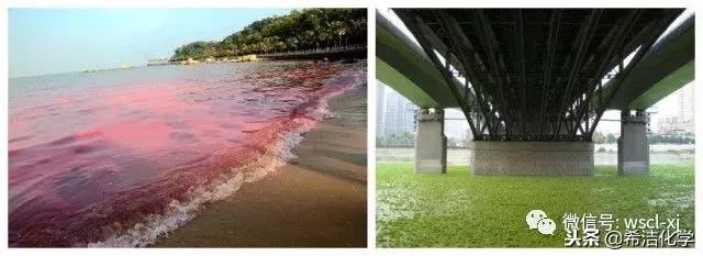 污水处理氨氮高怎么办?(中低浓度氨氮处理方法)