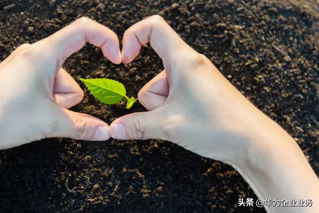 转型不畏|逆势增长100%,北明软件做好了哪两件事?