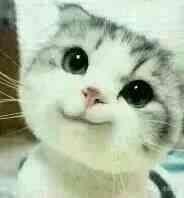 qq表情包套路表情包,表情包可爱动态图微信聊天表情包