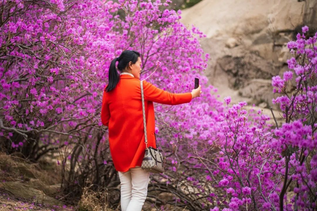 西海岸北国之春,期待春暖花开的西海岸