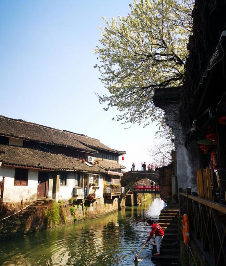 琚仐蹇樼殑杩愭渤鍙ら晣,琚腑鍥戒紶缁熸枃鍖栭仐蹇樼殑鍙ら晣