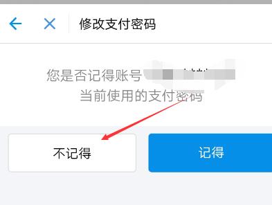 支付宝支付密码忘了怎么办有人脸,支付宝支付密码忘了怎么办小学生