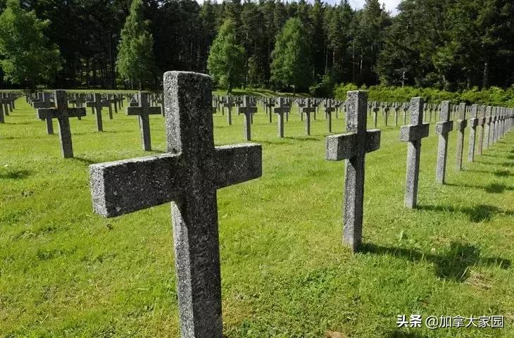 神操作!活得好好的,居然被政府判定为死人,还要被追税!