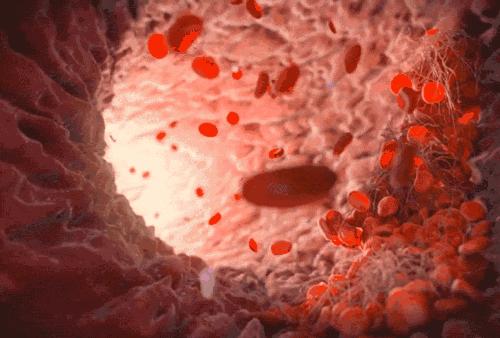 乳腺癌治疗用药大全,乳腺癌内分泌治疗怀孕激素会高吗