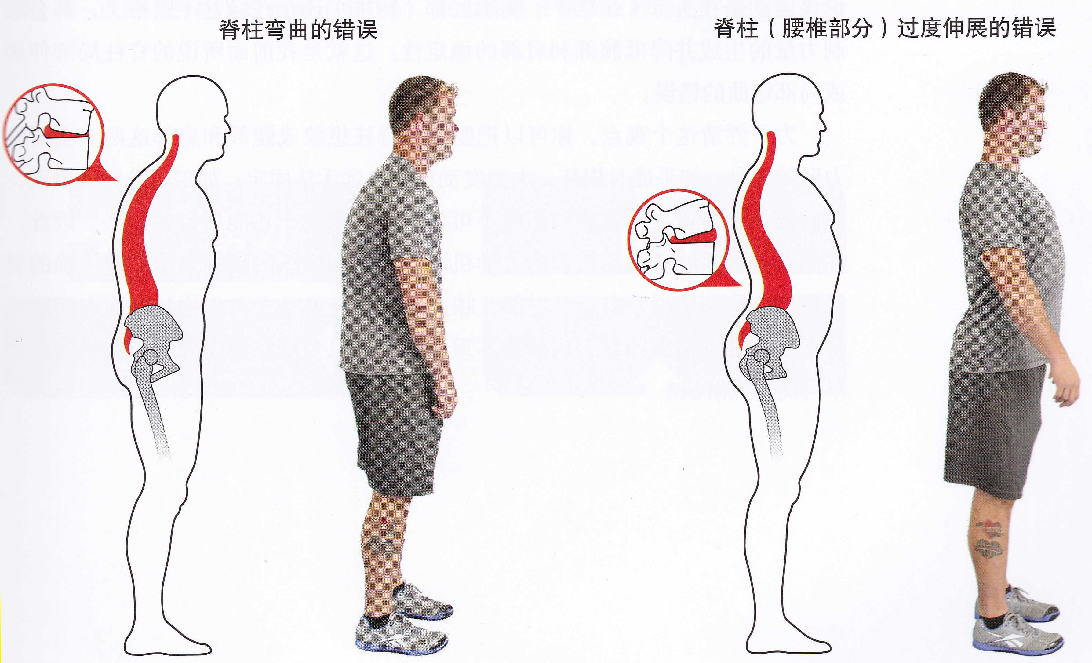 脊柱保持中立位是什么意思,脊柱中立位的标准动作