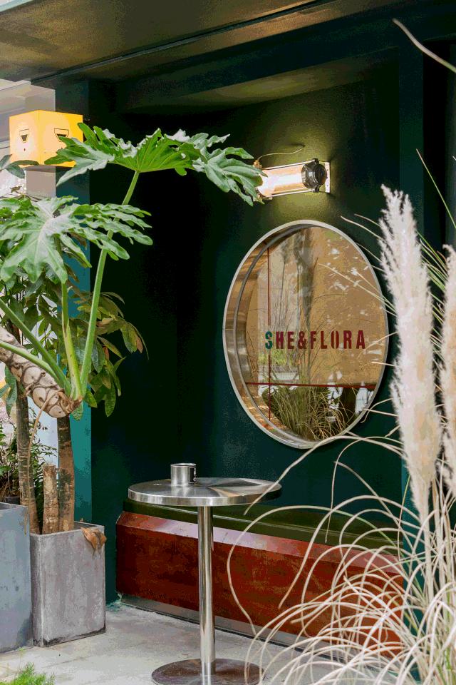 深圳二号线沿线有哪些景点游玩,深圳9号线沿途好玩的地方推荐