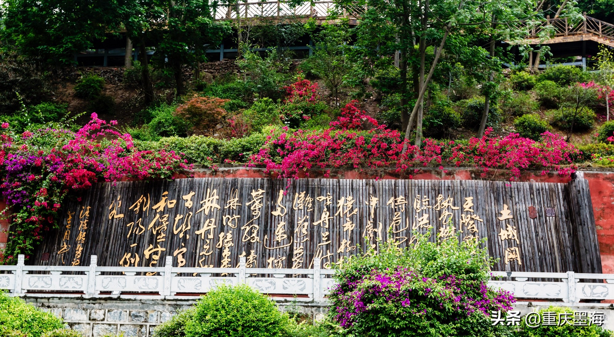 习水红军长征路,习水土城红军战斗遗址