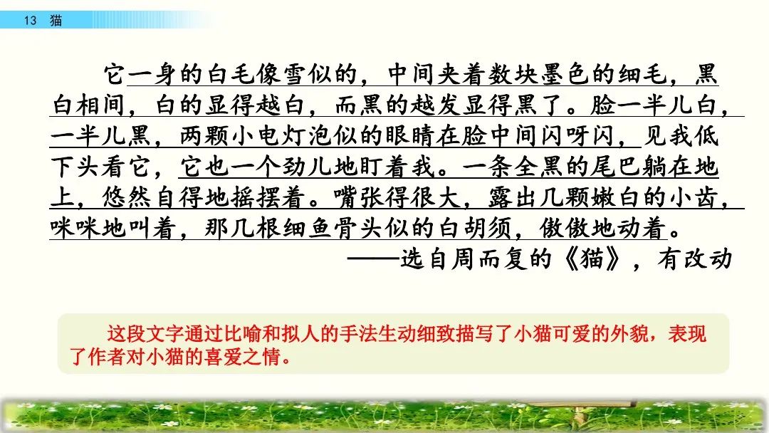 四年级下册语文13课猫课文解析,部编版四年级下册13猫教学视频