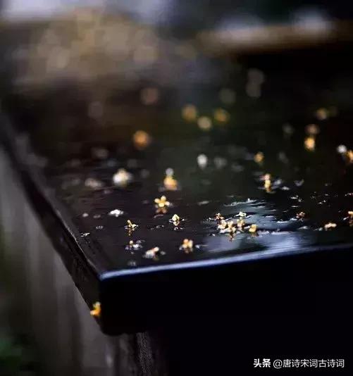 唐诗词经典唯美古文,唐诗宋词中的好词佳句赏析