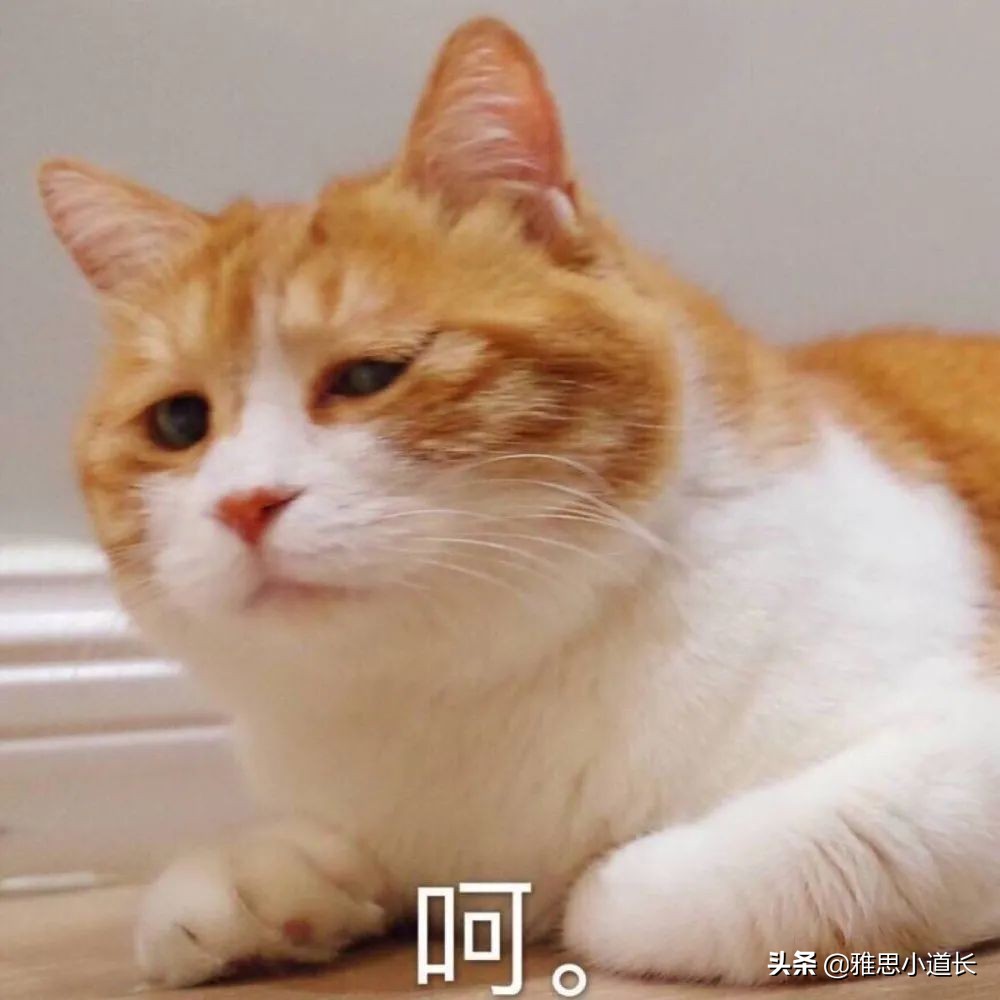 外国人sayitagain翻唱,youcansayitagain什么意思