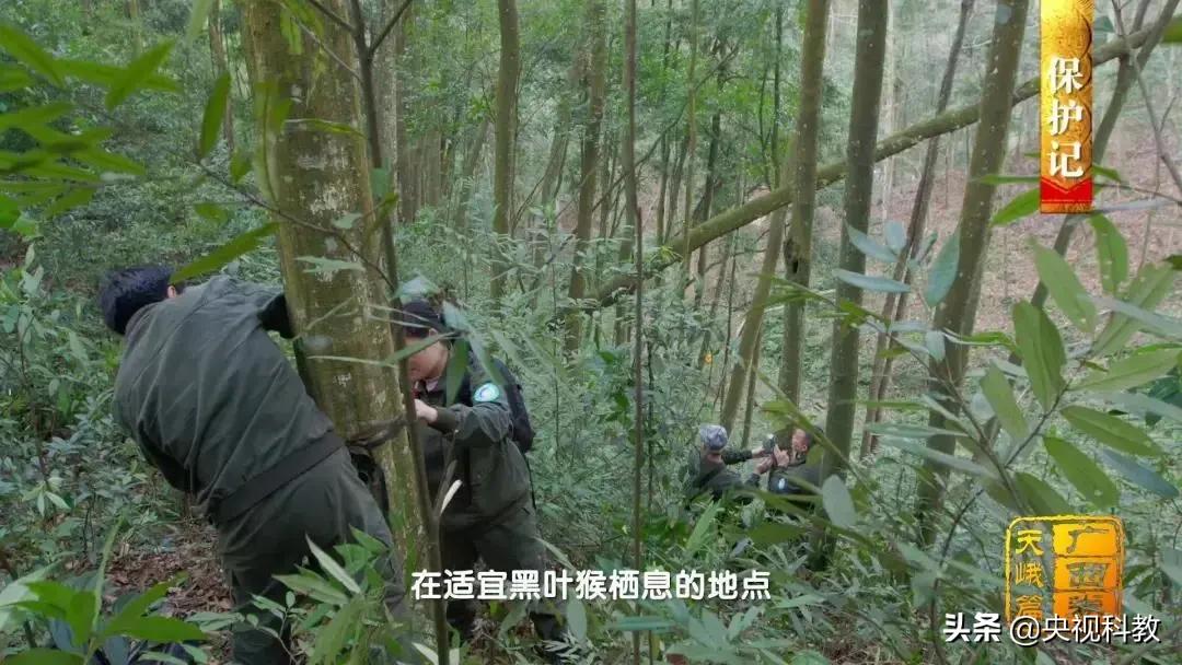 影像方志天峻,中国影像方志四川大竹篇