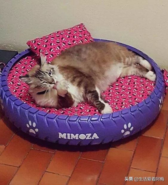 旧轮胎怎么改造成家里的装饰品,旧轮胎变废为宝炼油