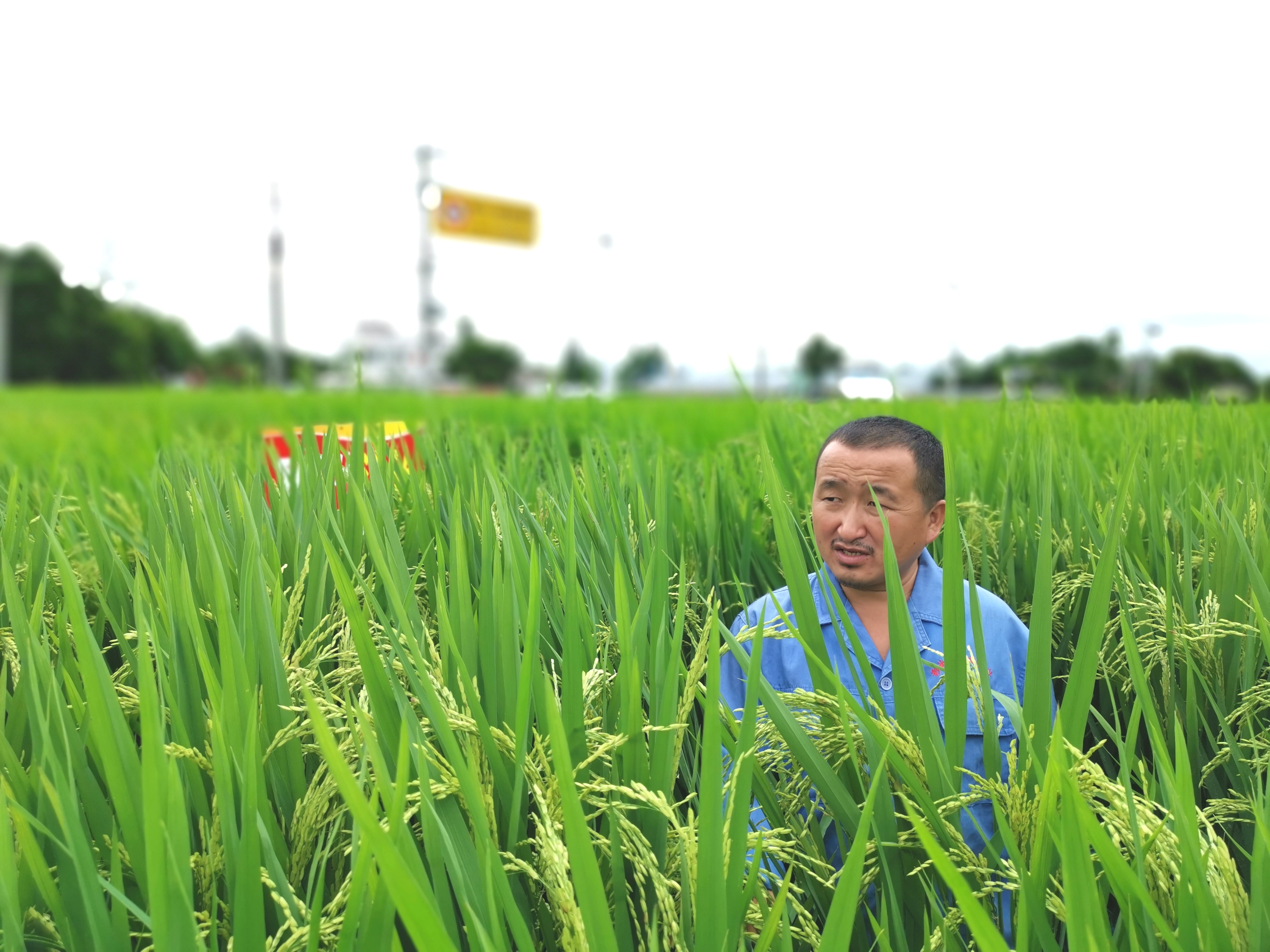 农学专业适合报考什么,填报志愿农学就业率高的专业
