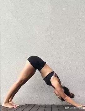 哈他瑜伽拜日式完整口令,瑜伽经典哈他拜日式