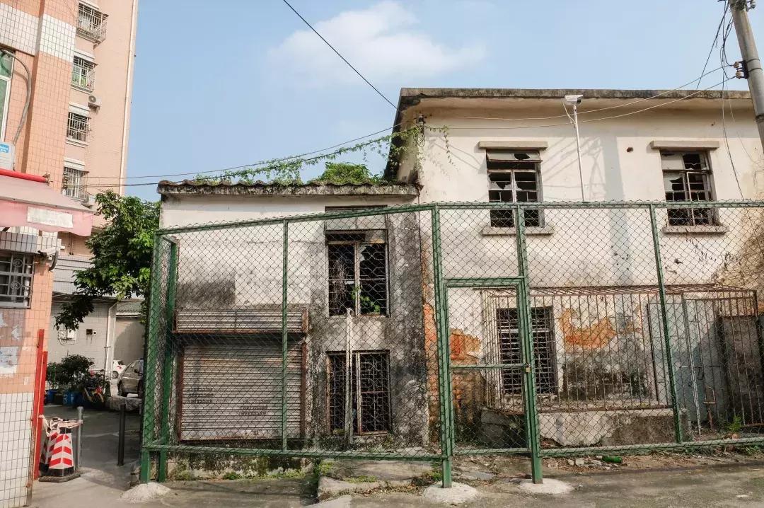 公社笋岗,万象笋岗