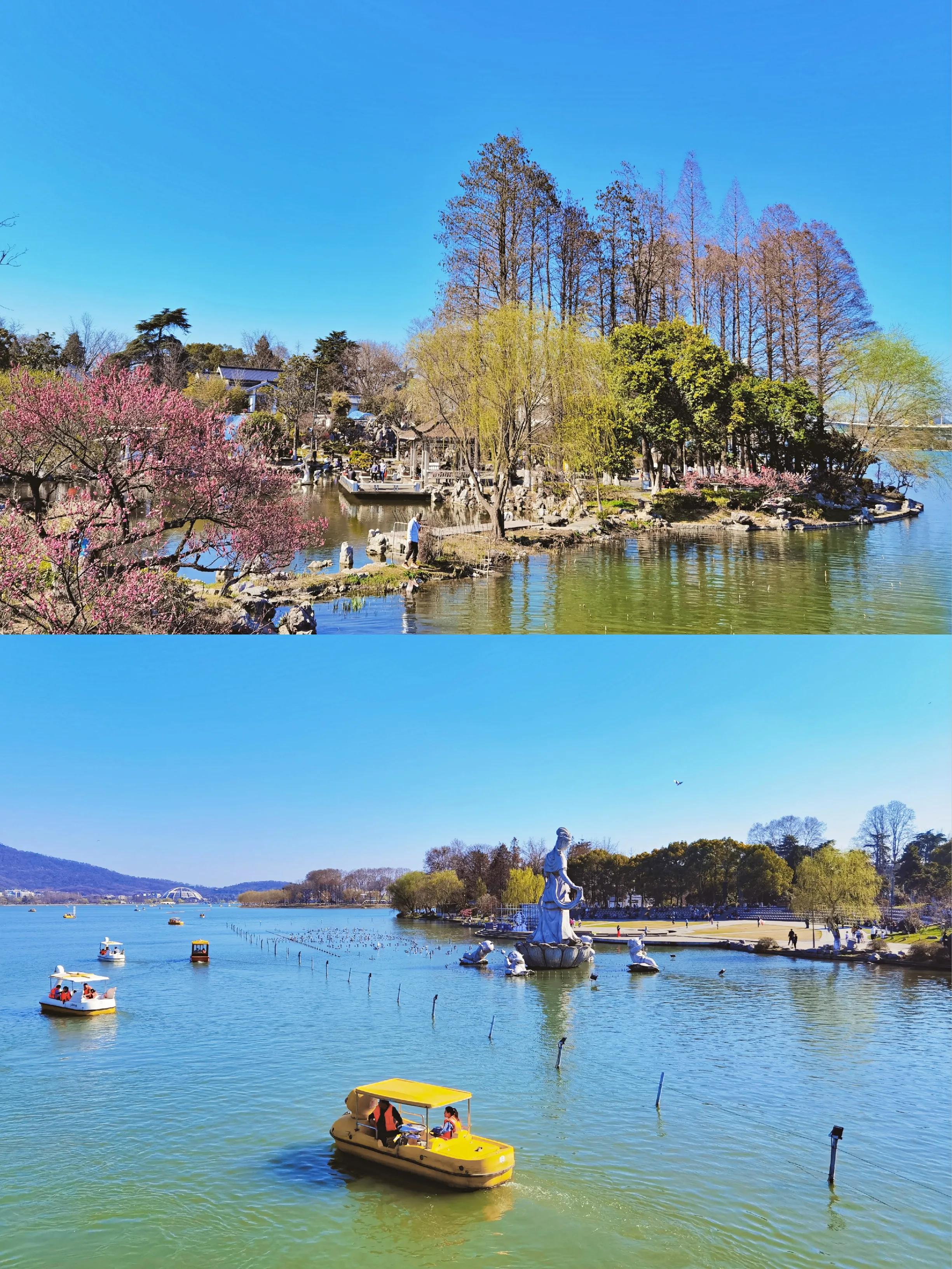 没有人可以拒绝冬天的大理,玄武湖的春天太美了