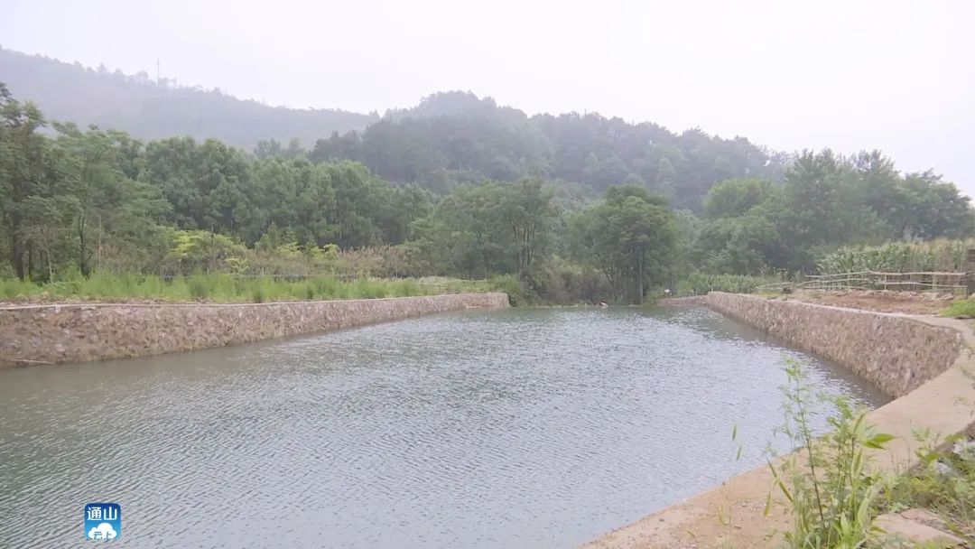 黄沙铺镇梅田村:昔日垃圾“围村”如今美丽如画