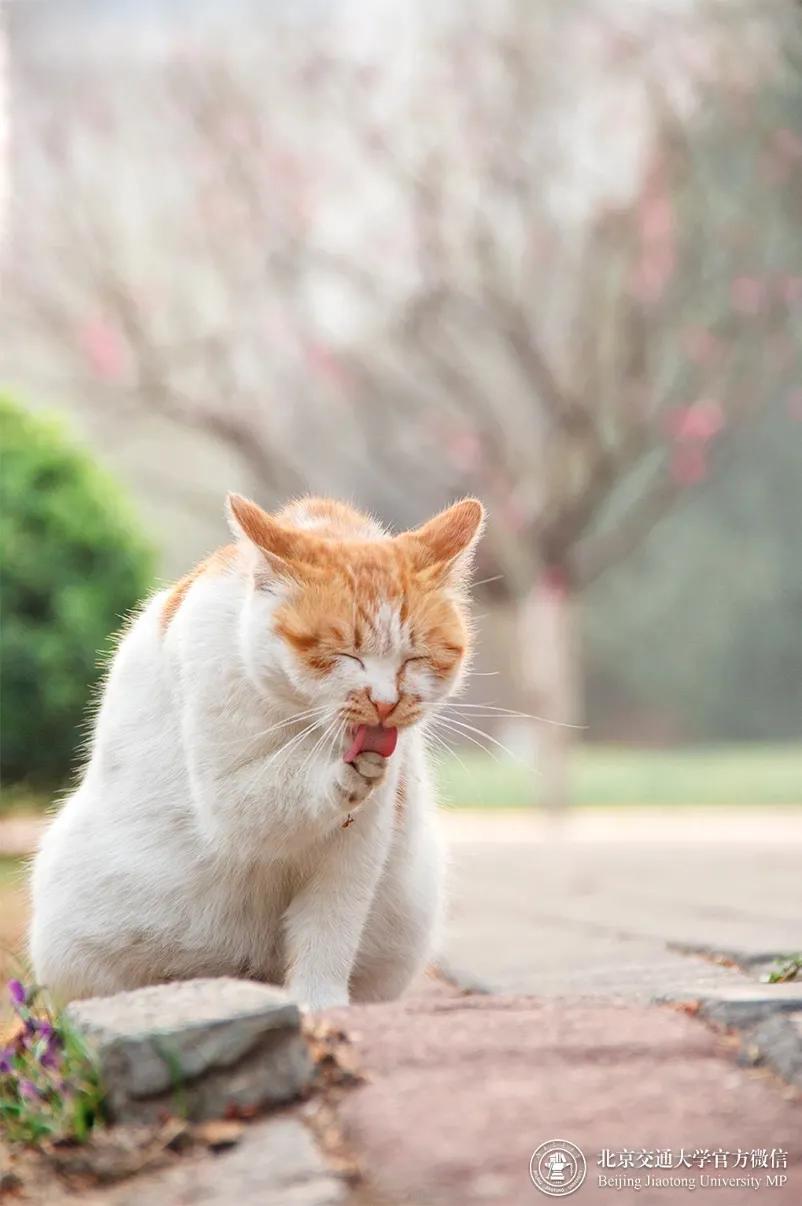 多少分可以上个好大学,多少分能上美校