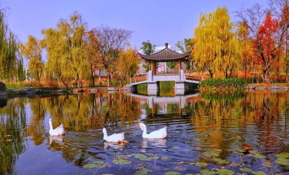 武汉十大免费公园,武汉最大的免费湿地公园