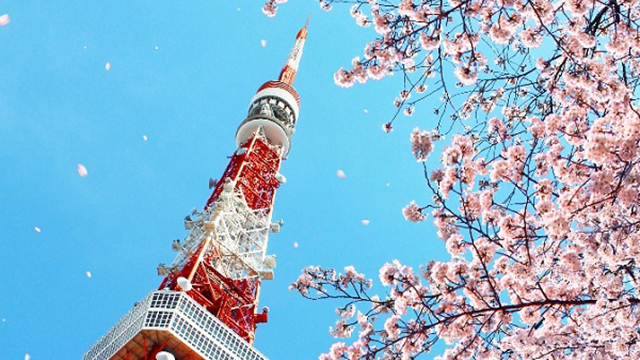 日文单词和日文假名的区别,日文发音一样意思咋不一样