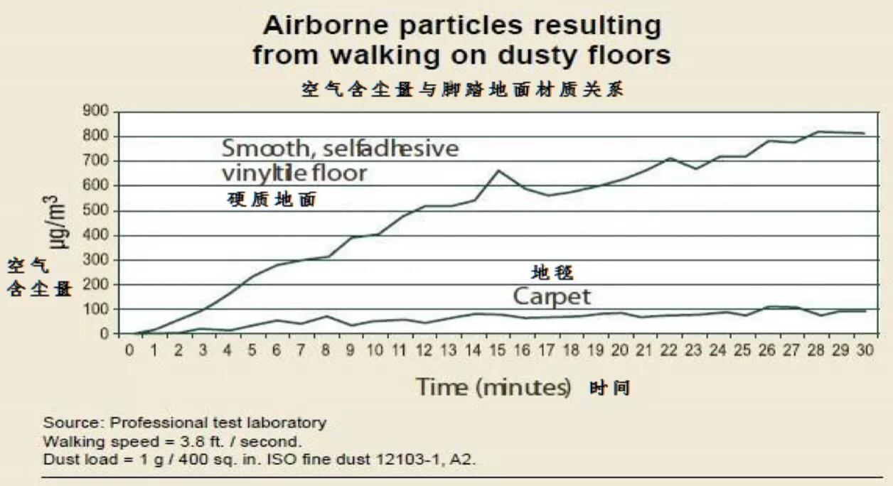 房间里总是有很多毛毛是什么原因,家里每天打扫还是有很多毛毛