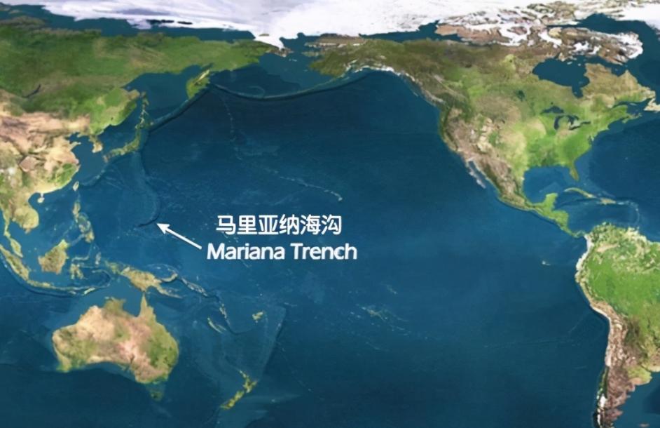 超级恐怖的深海巨鲨,新西兰巨型夜光鲨探秘