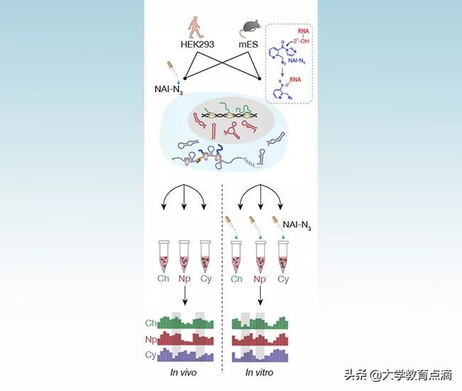 清华大学科技成果转化,清华大学重大贡献科研成果