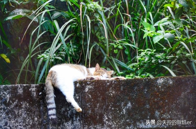 带上妈妈去旅行,带妈妈旅行去哪里合适