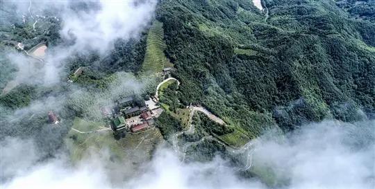 国庆肥西十大网红打卡地,合肥春游打卡攻略